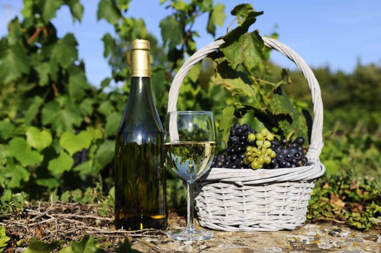 Fles wijn met duirven in een mandje | Chardonnay