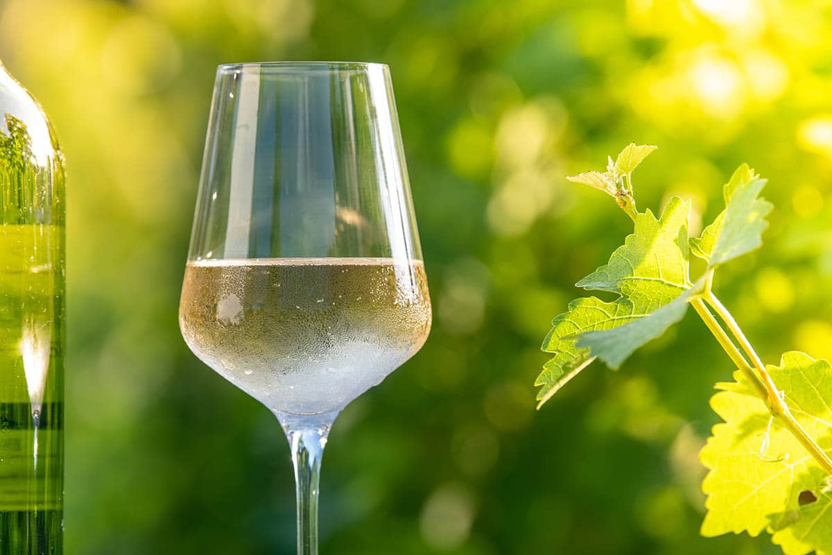 Glas witte wijn | Pinot Blanc