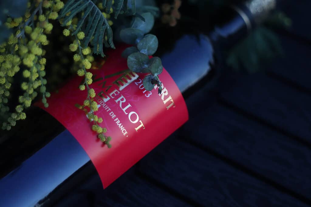 Merlot wijn, waarom wij deze wijn zo fijn vinden